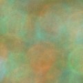 Bokeh-483